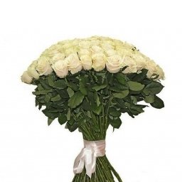 Buket od 101 krem ruže-beautiful love