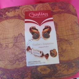 Guylian belgijske praline